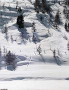 _DSC3168